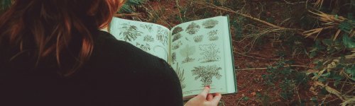 This audience consists of individuals whose online behavior indicates they are either researching or are part of the botany field of scientific research and application. Companies looking to hire professional botanists or reach professionals in the botany sector will appreciate this audience.